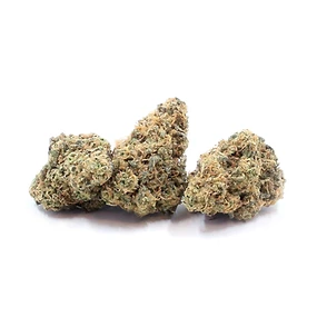 Lemon Fresh strain