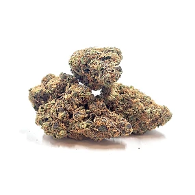 Jack Herer strain