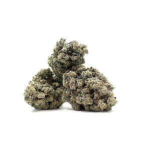 Blueberry Diesel strain