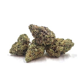 Tangie strain