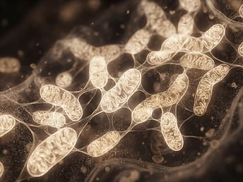 Abstract macro of glowing cellular structures in champagne tones