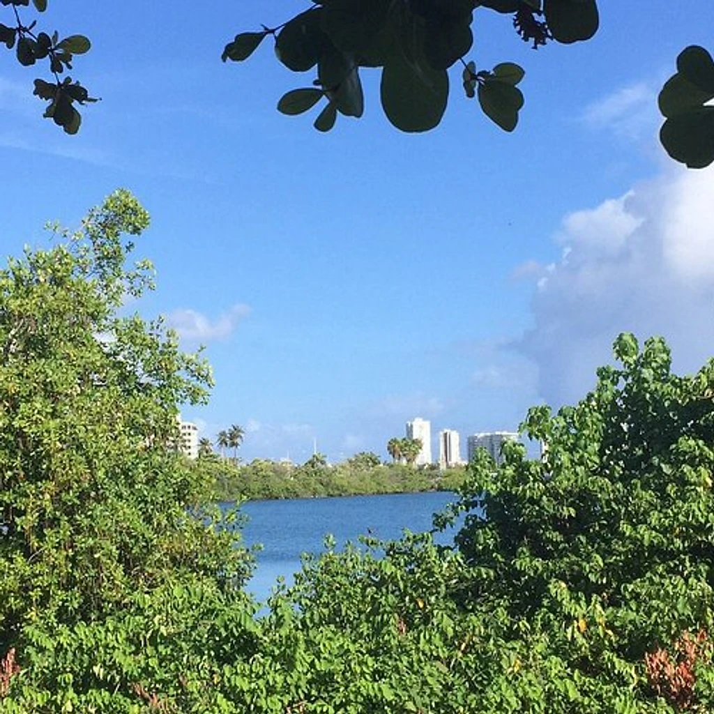 Laguna del Condado Jaime Benítez Community Park