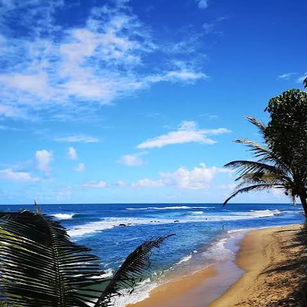 Playa Peña