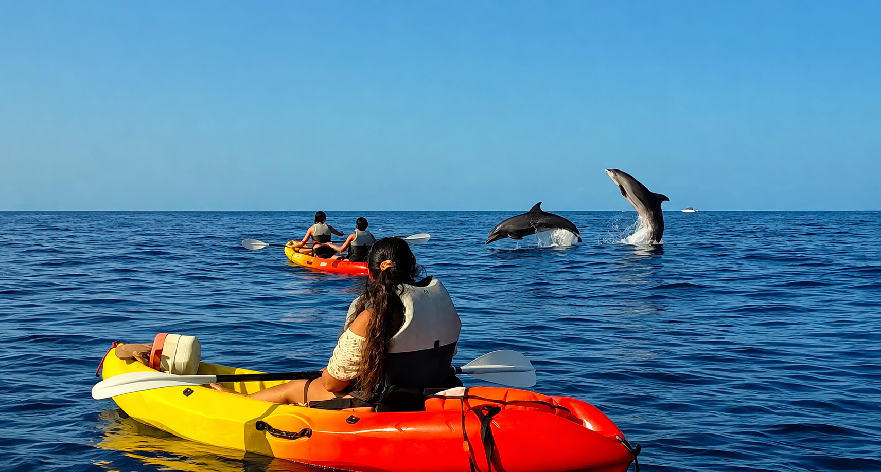 Kayaking with dolphins