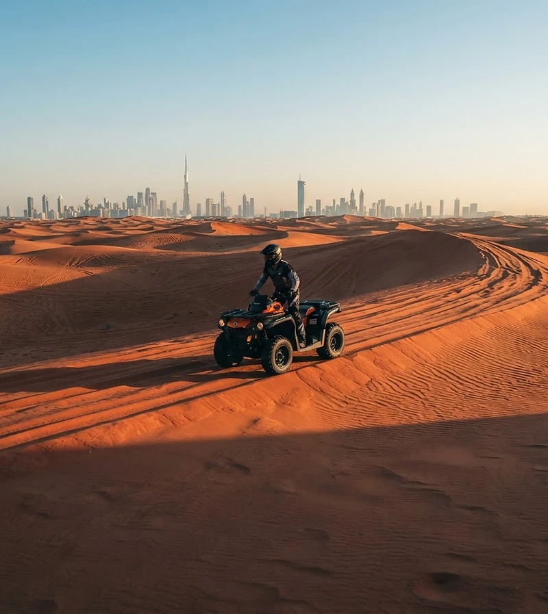 Morning Safari + Quad