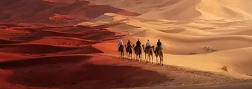 Dubai vs Abu Dhabi desert safari