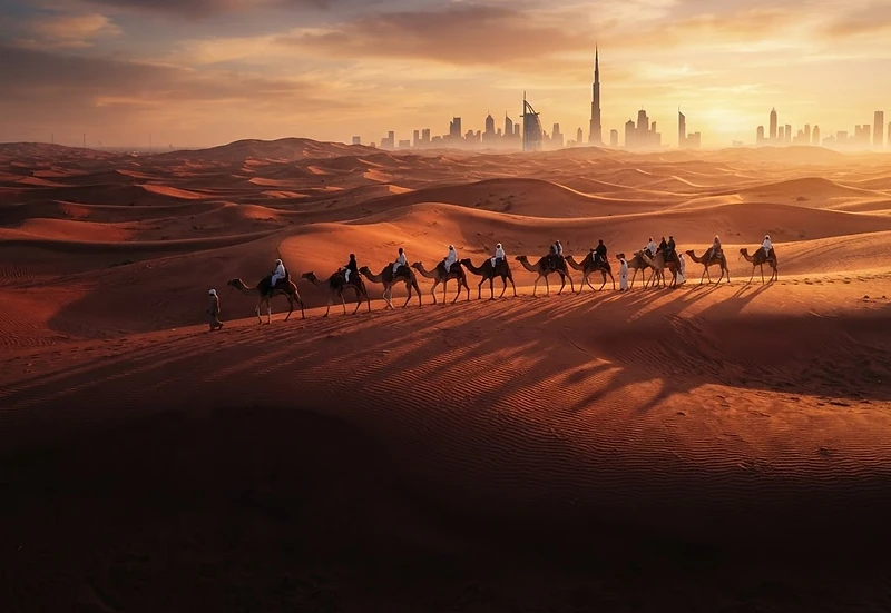 Camel Ride in Dubai