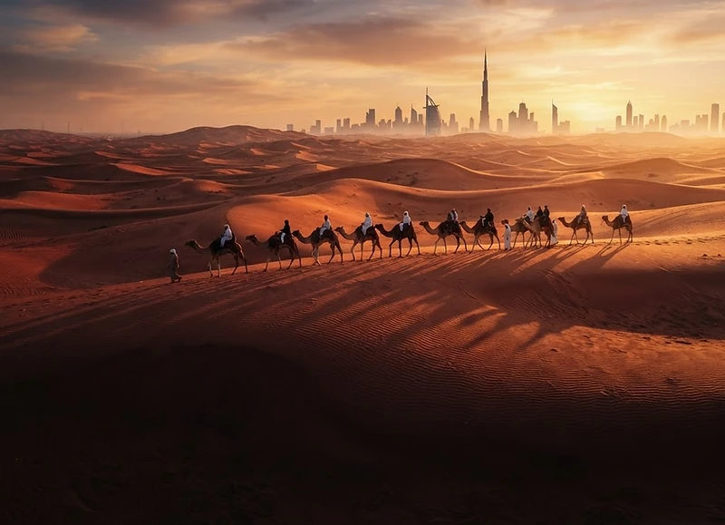 Camel Ride in Dubai