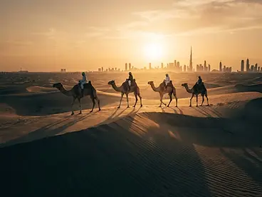 Camel Ride