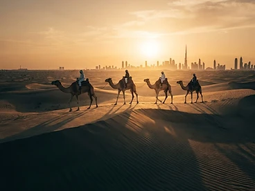 Camel Ride