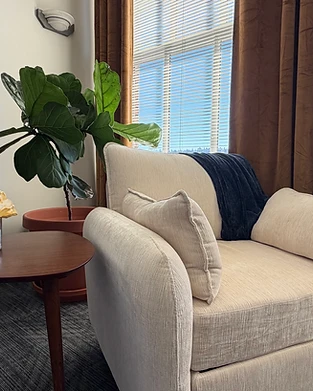 Cozy counseling corner with a cream armchair and fiddle-leaf fig