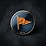 Project Leader merit badge