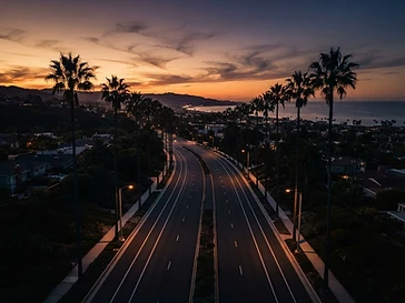 Palm-lined boulevard at dusk