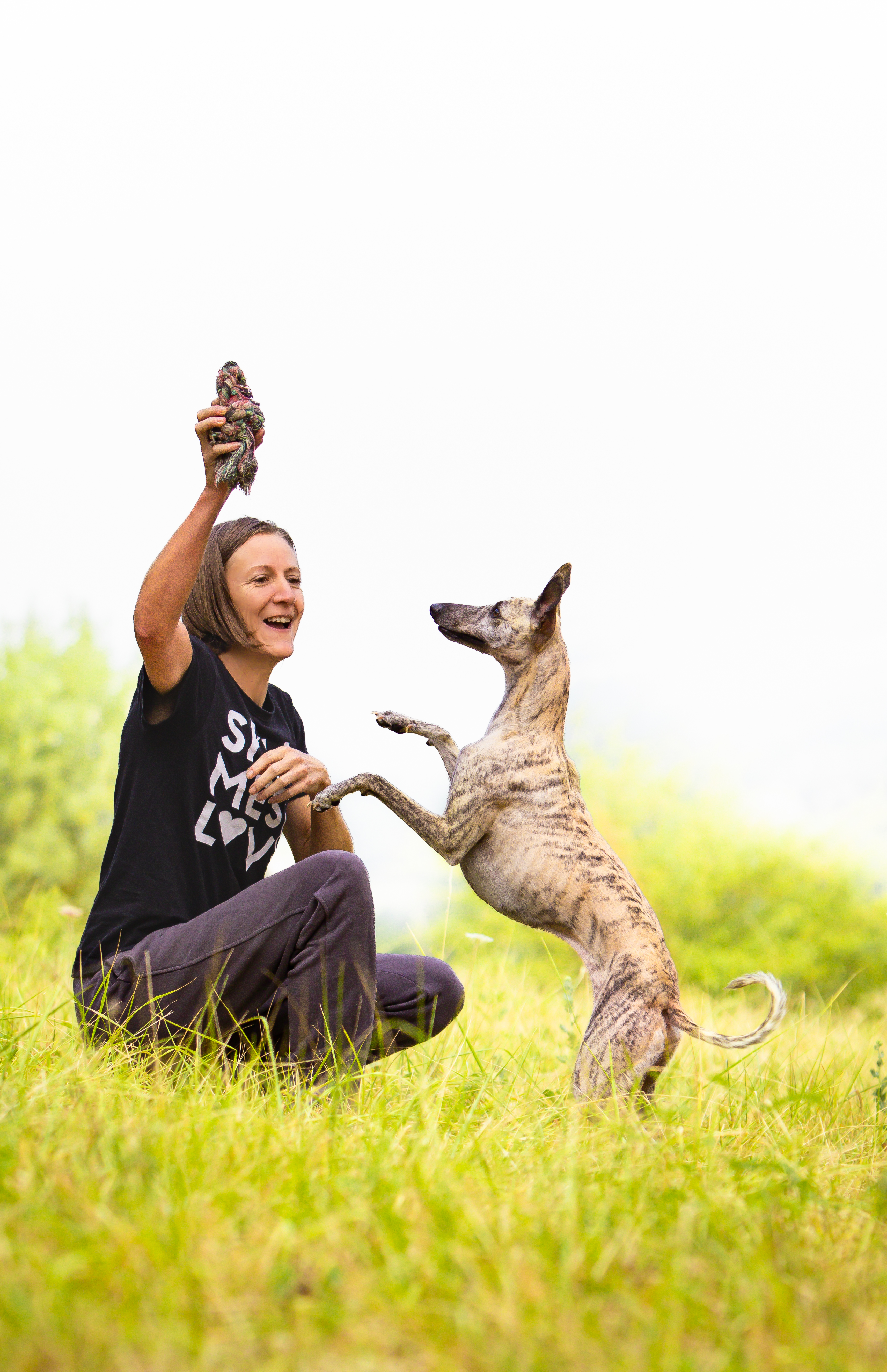 Séance d'éducation canine dans les herbes hautes