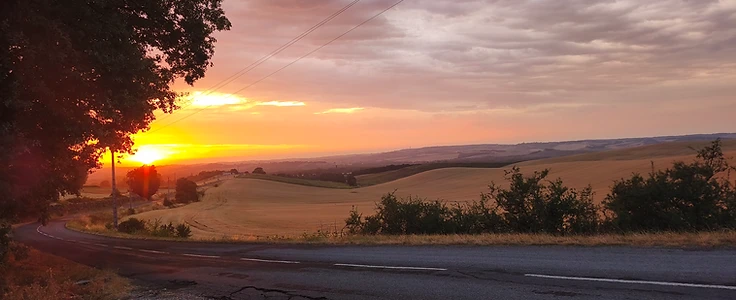 Le chemin et les champs, au coucher du soleil