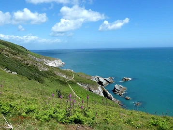 Berry Head from Brixham