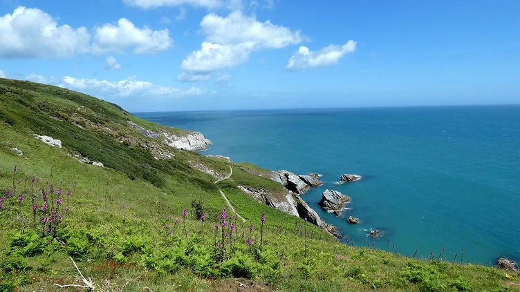 Berry Head from Brixham