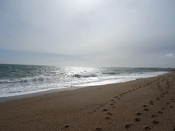 Blackpool Sands to Strete