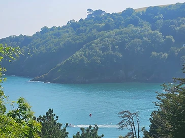 Looking down through the trees to the blue waters of the estuary