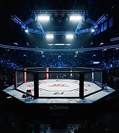 Sports & UFC