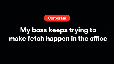 My boss keeps trying to make fetch happen in the office