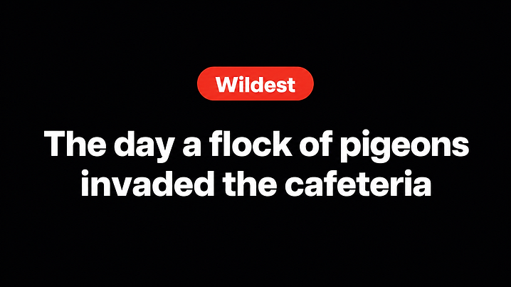 The day a flock of pigeons invaded the cafeteria