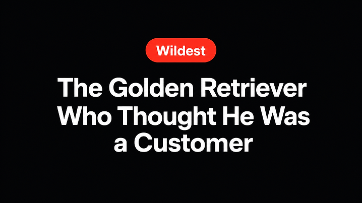 The Golden Retriever Who Thought He Was a Customer