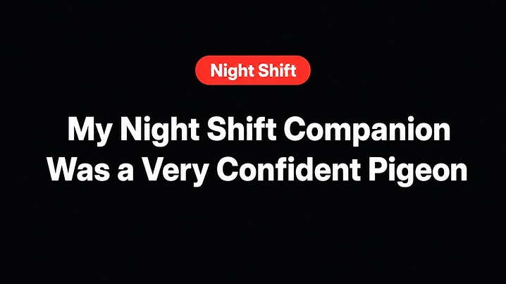 My Night Shift Companion Was a Very Confident Pigeon