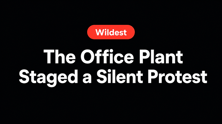 The Office Plant Staged a Silent Protest