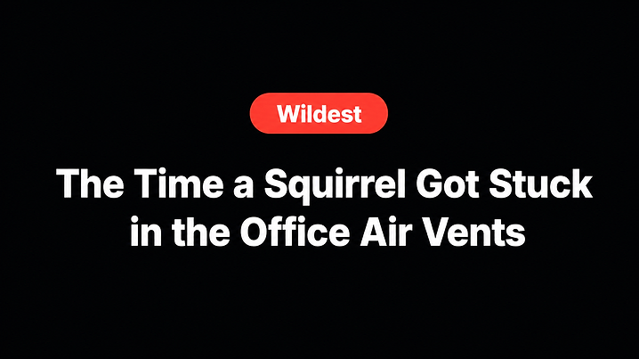 The Time a Squirrel Got Stuck in the Office Air Vents