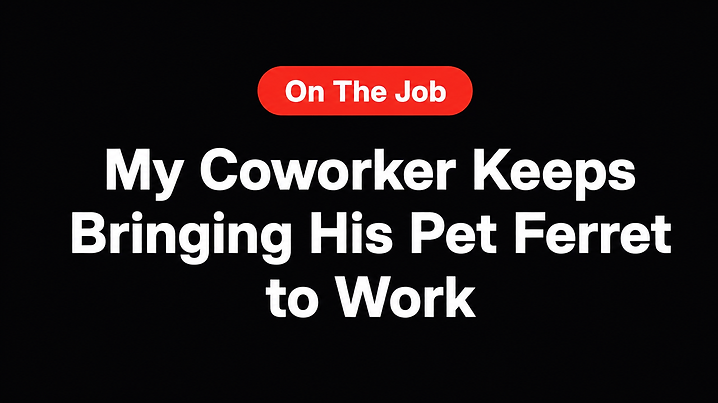 My Coworker Keeps Bringing His Pet Ferret to Work