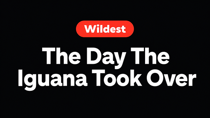 The Day The Iguana Took Over