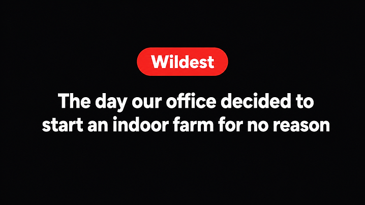 The day our office decided to start an indoor farm for no reason