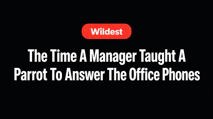 The Time A Manager Taught A Parrot To Answer The Office Phones