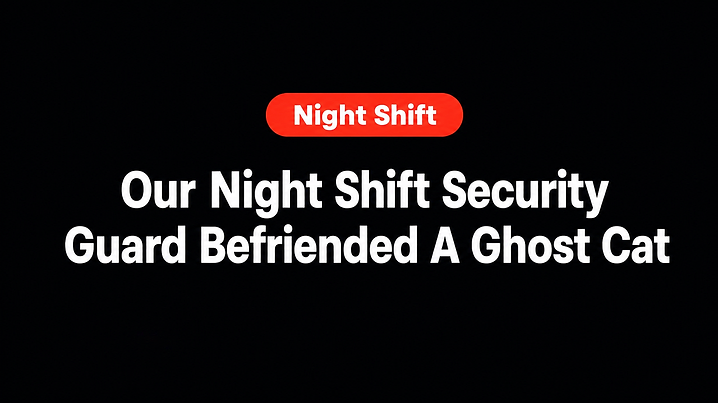 Our Night Shift Security Guard Befriended A Ghost Cat
