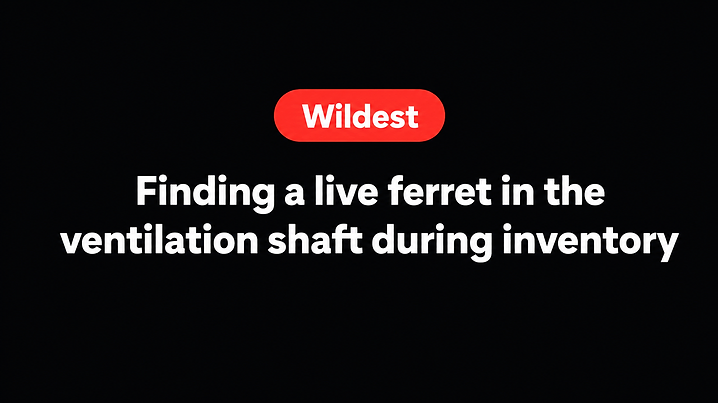 Finding a live ferret in the ventilation shaft during inventory