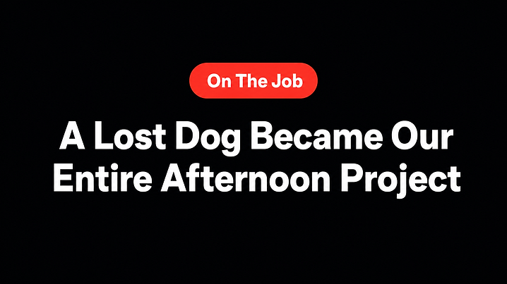 A Lost Dog Became Our Entire Afternoon Project