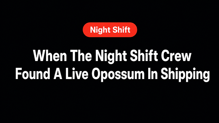 When The Night Shift Crew Found A Live Opossum In Shipping