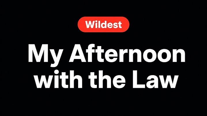 My Afternoon with the Law