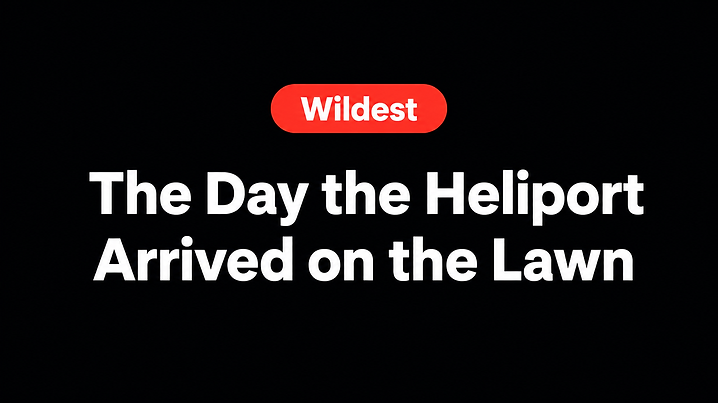 The Day the Heliport Arrived on the Lawn