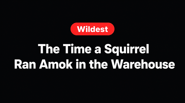 The Time a Squirrel Ran Amok in the Warehouse