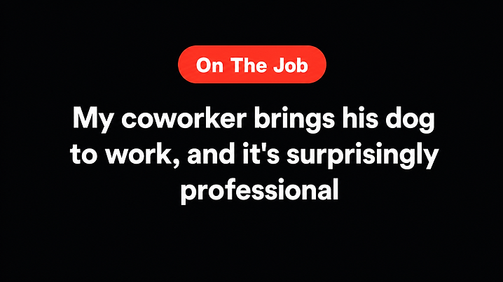 My coworker brings his dog to work, and it's surprisingly professional