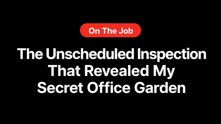 The Unscheduled Inspection That Revealed My Secret Office Garden