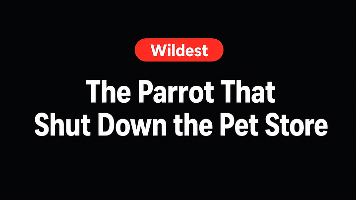 The Parrot That Shut Down the Pet Store