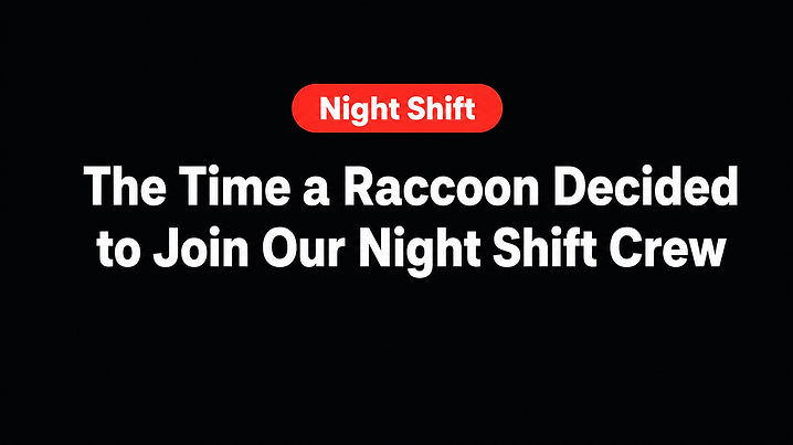 The Time a Raccoon Decided to Join Our Night Shift Crew