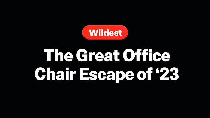 The Great Office Chair Escape of '23