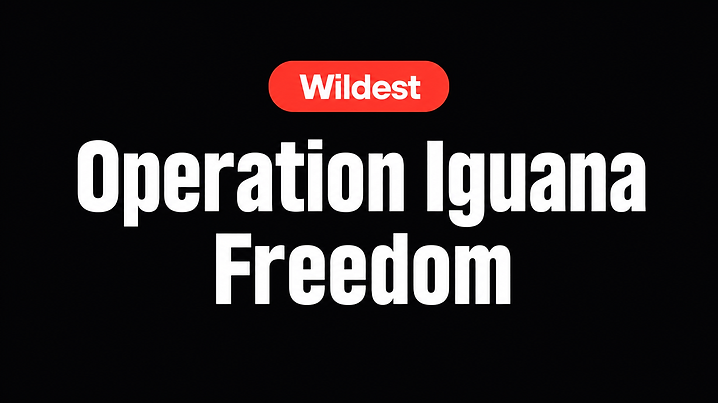 Operation Iguana Freedom