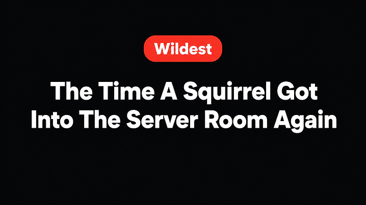 The Time A Squirrel Got Into The Server Room Again
