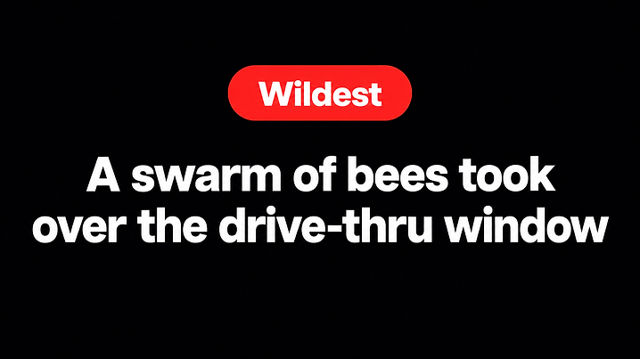 A swarm of bees took over the drive-thru window