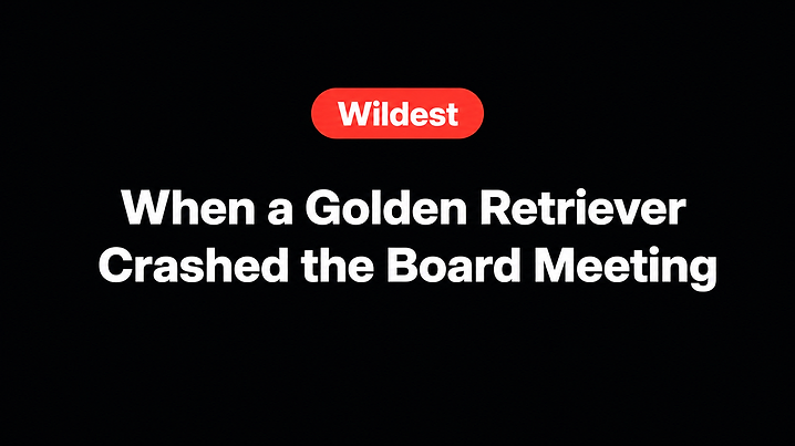 When a Golden Retriever Crashed the Board Meeting
